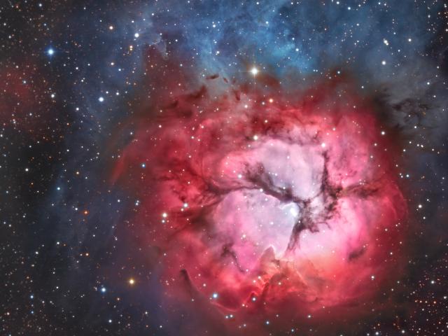 A Beautiful Trifid