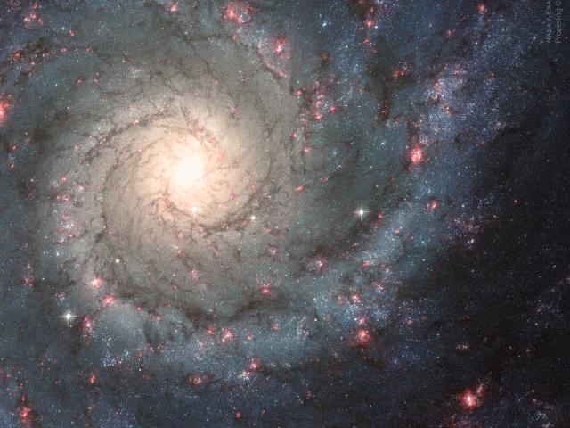 A Perfect Spiral