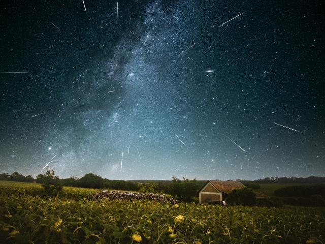 Three Perseid Nights
