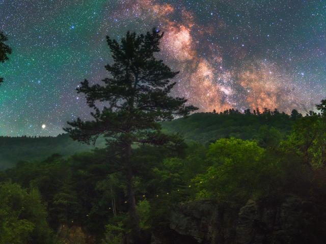 Firefly Milky Way over Russia