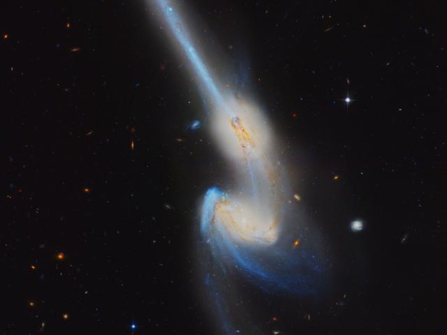 NGC 4676: When Mice Collide