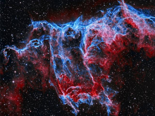 NGC 6995: The Bat Nebula