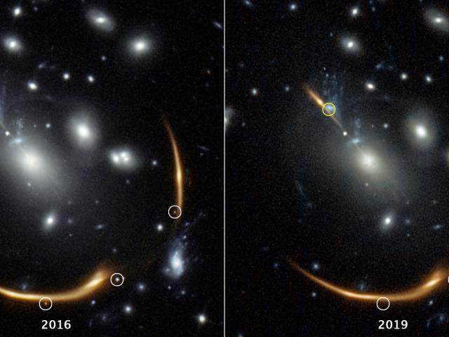SN Requiem: A Supernova Seen Three Times So Far