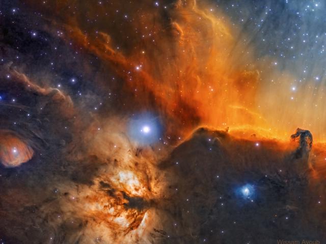 The Horsehead and Flame Nebulas