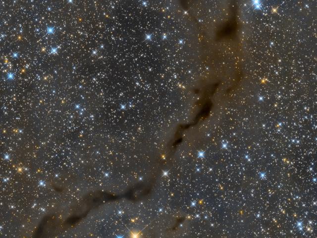The Dark Seahorse in Cepheus