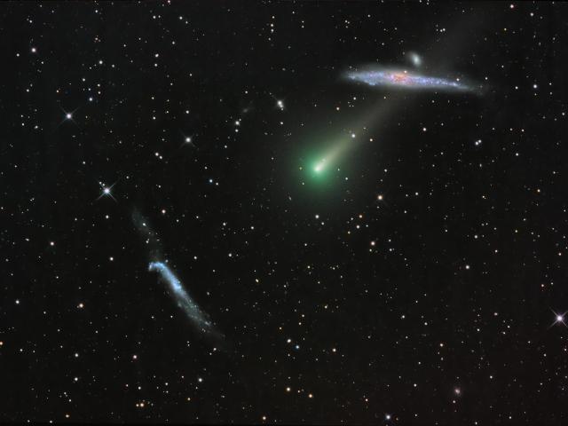 Comet Leonard and the Whale Galaxy