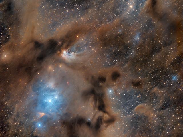 Chamaeleon I Molecular Cloud