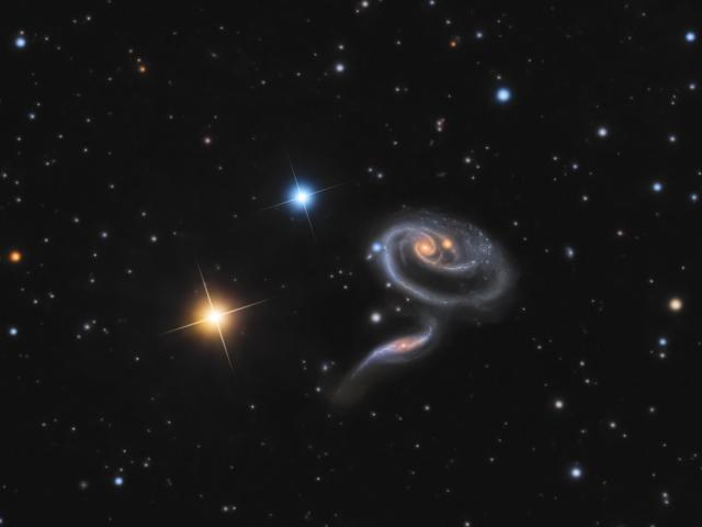 Peculiar Galaxies of Arp 273