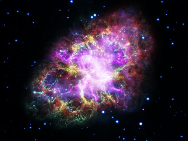 The Multiwavelength Crab