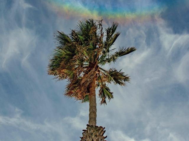 When Rainbows Smile