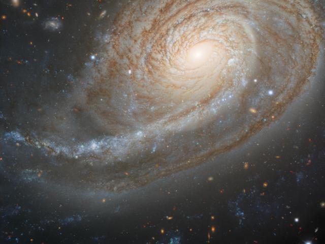 Arp 78: Peculiar Galaxy in Aries