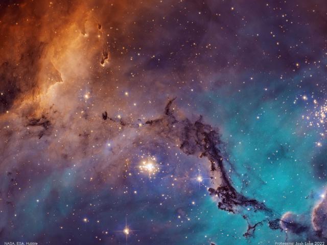 N11: Star Clouds of the LMC
