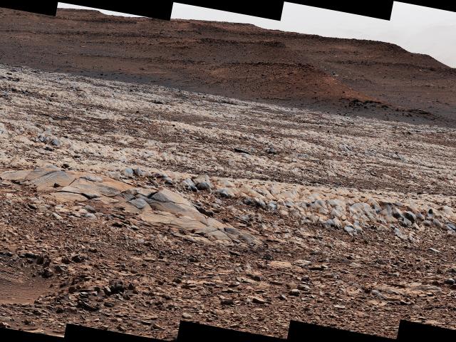 The Gator-Back Rocks of Mars