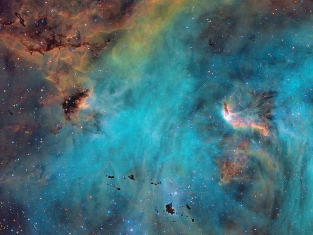 Stars and Globules in the Running Chicken Nebula