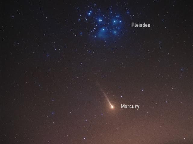 Mercury’s Sodium Tail