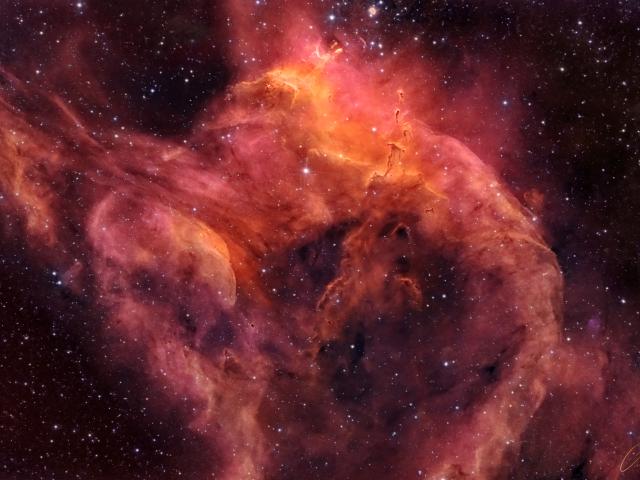 NGC 3572 and the Southern Tadpoles
