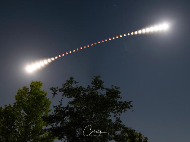 A Digital Lunar Eclipse