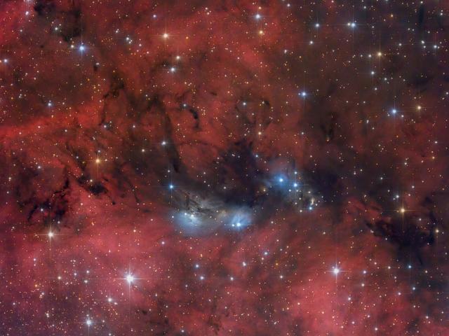 The NGC 6914 Complex