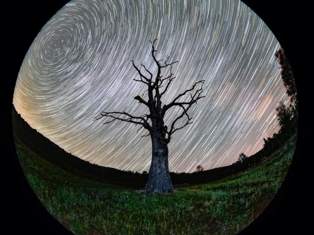 Roots on a Rotating Planet