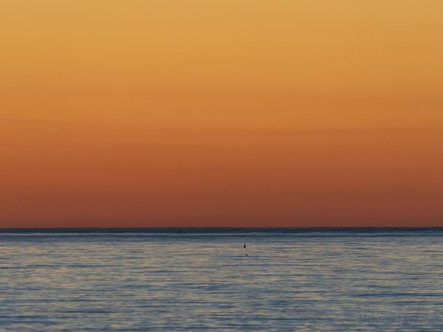 Find the New Moon