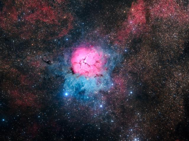 A Beautiful Trifid