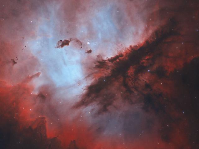 Dust Clouds of the Pacman Nebula