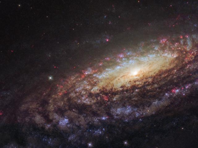 NGC 7331 Close Up