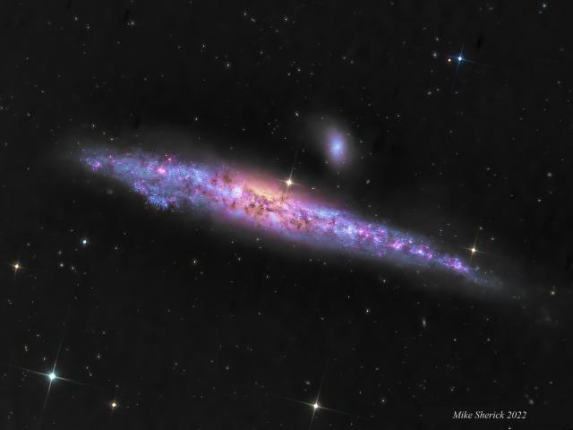 NGC 4631: The Whale Galaxy