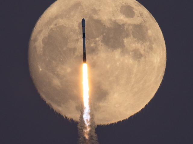 The Falcon and the Hunter’s Moon