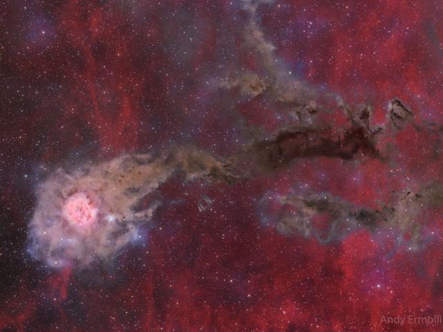 Cocoon Nebula Wide Field