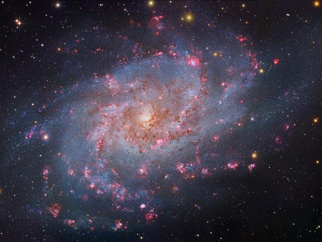M33: The Triangulum Galaxy