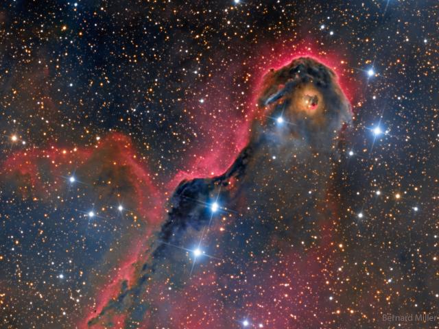 An Unusual Globule in IC 1396
