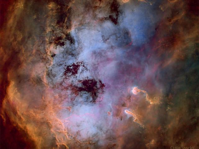 The Tadpole Nebula in Gas and Dust