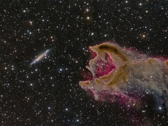CG4: The Globule and the Galaxy