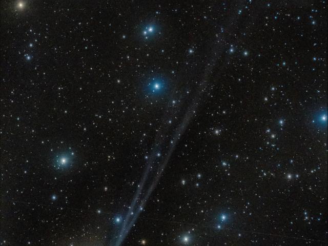 Tails of Comet ZTF