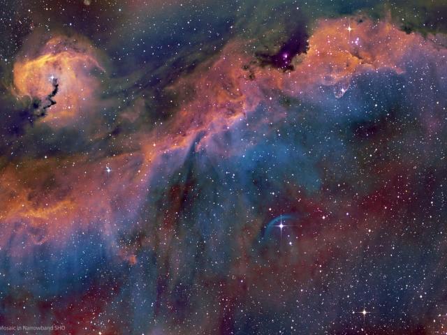 The Seagull Nebula