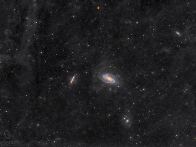 Galaxy Wars: M81 and M82