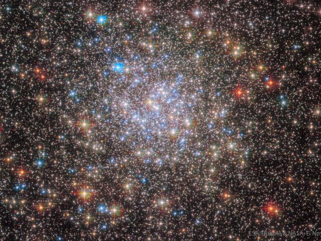 Globular Star Cluster NGC 6355 from Hubble