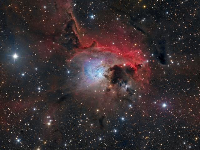 NGC 2626 along the Vela Molecular Ridge