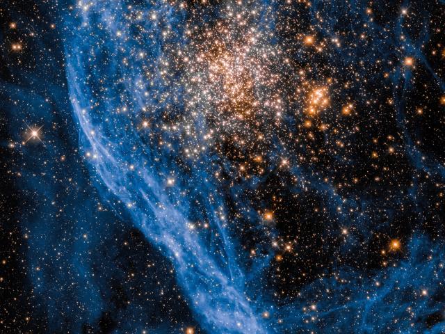 NGC 1850: Not Found in the Milky Way