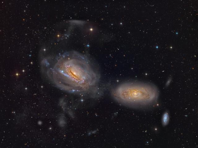Unraveling NGC 3169