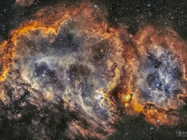 W5: The Soul Nebula