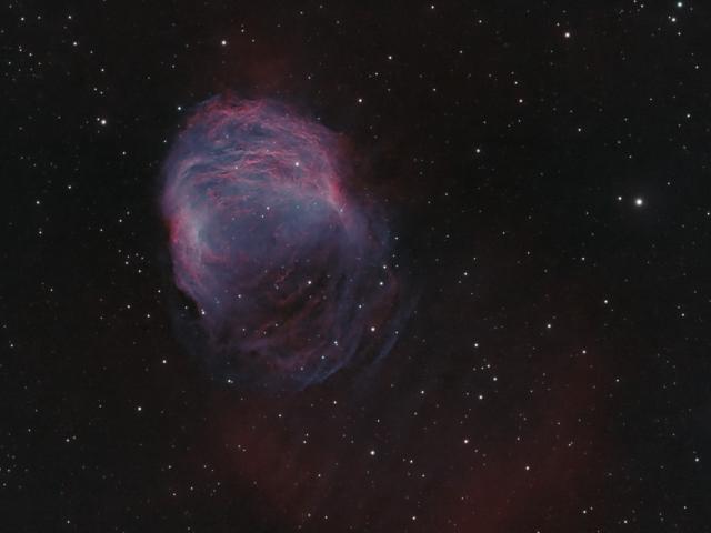 The Medusa Nebula