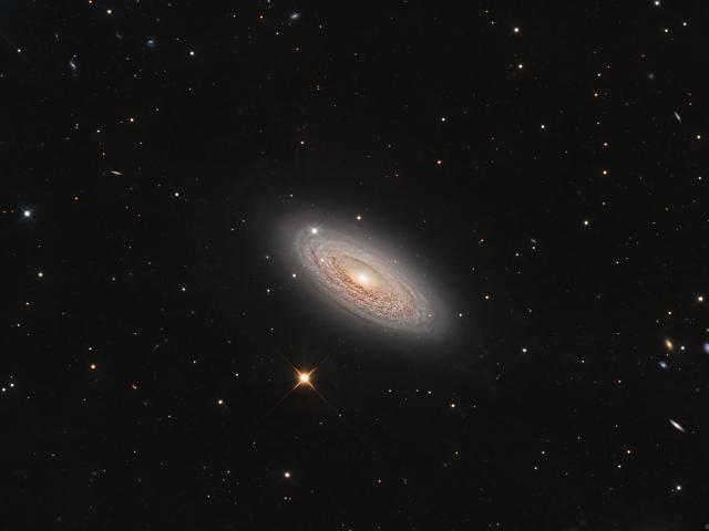 Spiral Galaxy NGC 2841