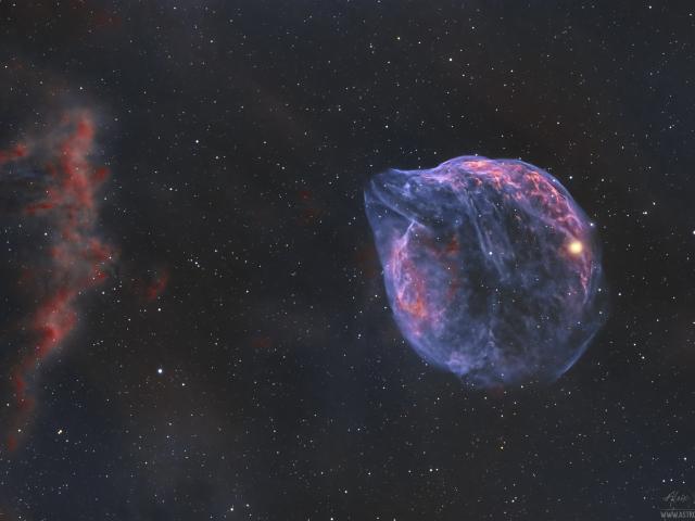 Sh2-308: A Dolphin Shaped Star Bubble