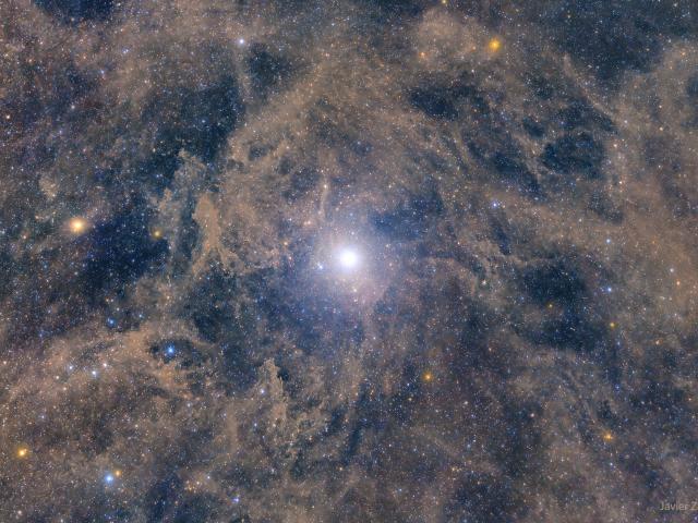 North Star: Polaris and Surrounding Dust