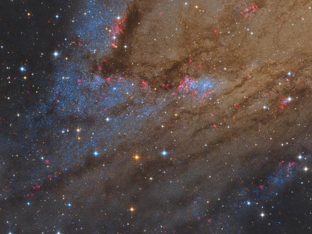 NGC 206 and the Star Clouds of Andromeda