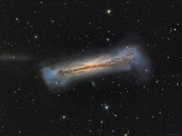 Portrait of NGC 3628