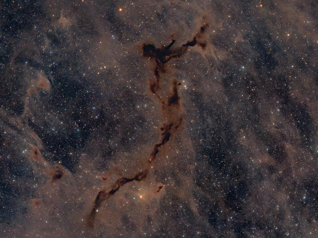 The Dark Seahorse in Cepheus