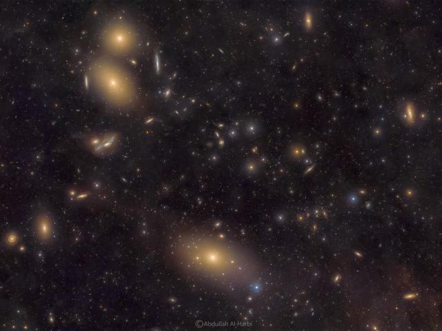 Virgo Cluster Galaxies